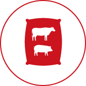 Illustrative icon for Feed