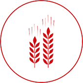 Illustrative Crops icon.